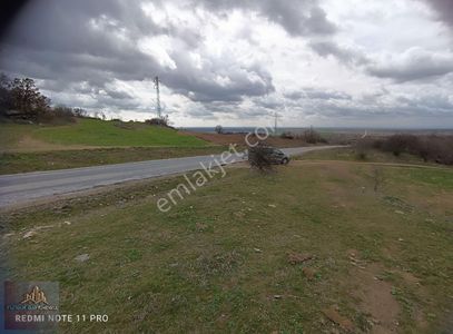 Arsa-Bağ & Bahçe