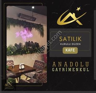 İşyeri-Kafe & Bar