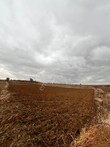 Arsa-Tarla