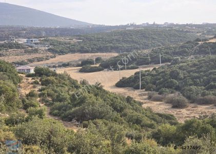 Arsa-Konut İmarlı