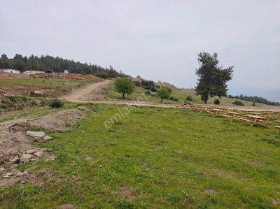 Arsa-Konut İmarlı