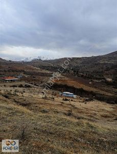 Arsa-Bağ & Bahçe