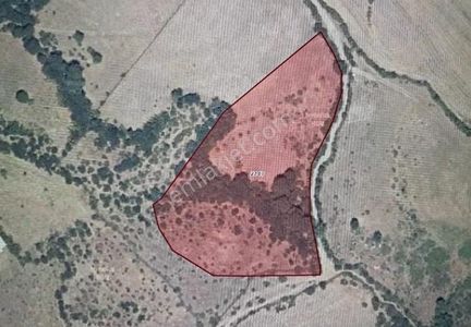 Arsa-Tarla