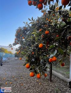 Konut-Müstakil Ev