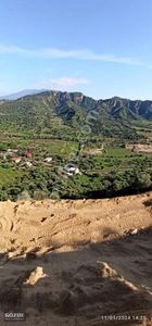 Arsa-Bağ & Bahçe