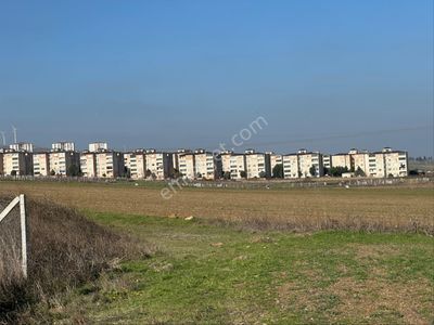 Arsa-Villa İmarlı