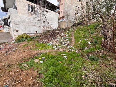 Arsa-Konut İmarlı