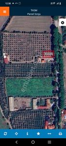 Arsa-Villa İmarlı