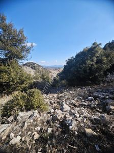 Arsa-Tarla