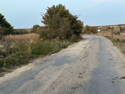 Arsa-Tarla