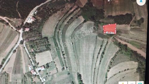 Arsa-Tarla