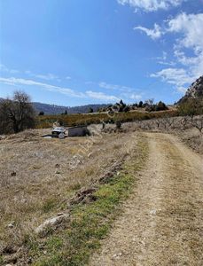 Arsa-Tarla