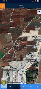 Arsa-Zeytinlik