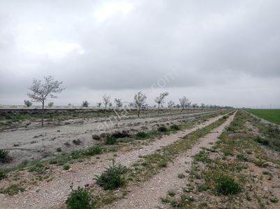 Arsa-Muhtelif Arsa