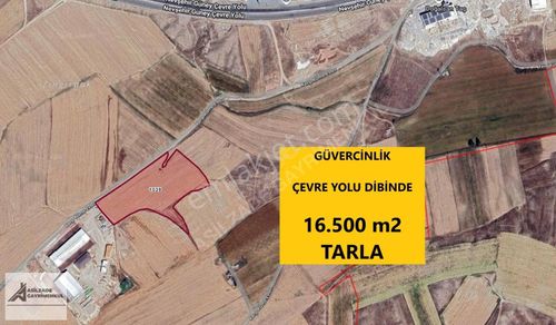 Arsa-Tarla