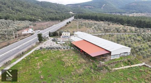 İşyeri-Depo