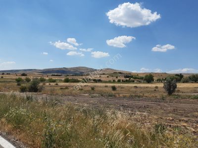 Arsa-Tarla