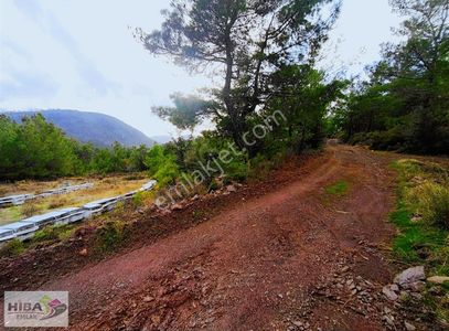 Arsa-Konut İmarlı