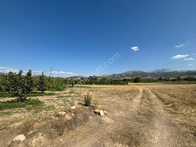 Arsa-Tarla
