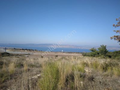 Arsa-Tarla