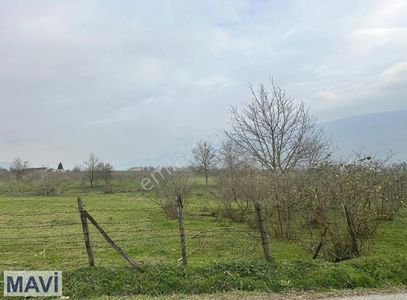 Arsa-Konut İmarlı