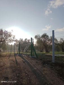 Arsa-Tarla