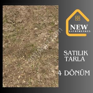 Arsa-Tarla