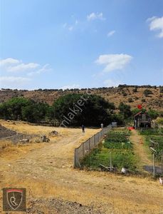 Arsa-Bağ & Bahçe