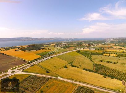 Arsa-Tarla