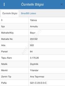 Arsa-Zeytinlik