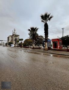 Arsa-Konut İmarlı