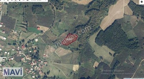 Arsa-Tarla