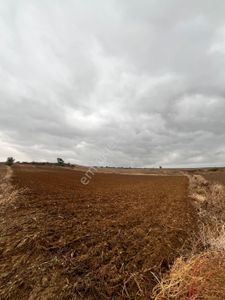Arsa-Tarla