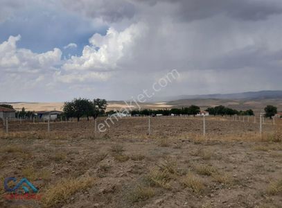 Arsa-Bağ & Bahçe
