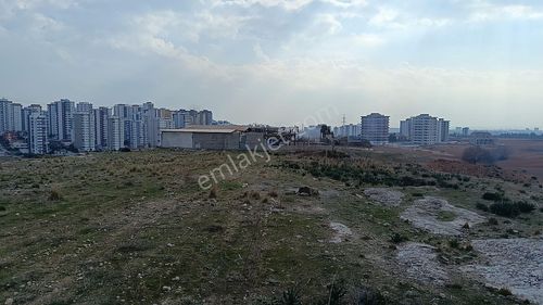 Arsa-Konut İmarlı