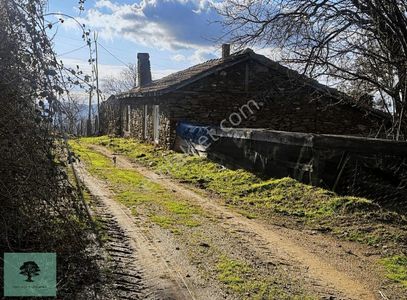 Arsa-Tarla