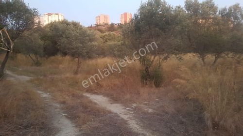 Arsa-Konut İmarlı
