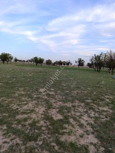 Arsa-Bağ & Bahçe