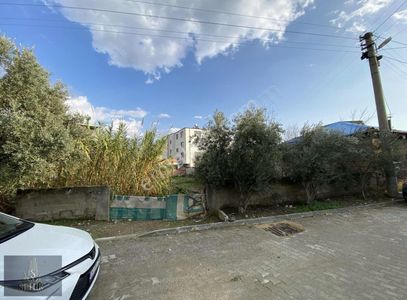 Arsa-Konut İmarlı