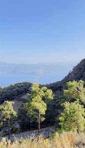 Arsa-Bağ & Bahçe
