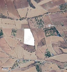 Arsa-Tarla