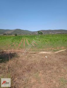 Arsa-Tarla