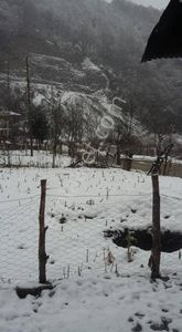 Arsa-Konut İmarlı