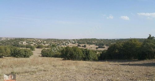Arsa-Tarla