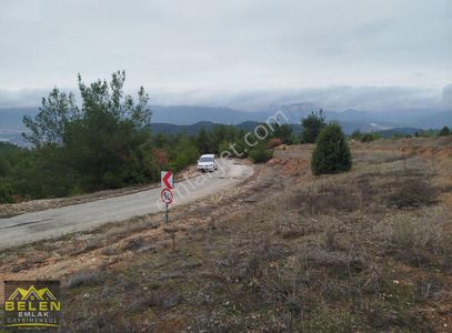 Arsa-Tarla
