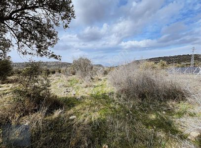 Arsa-Tarla