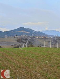 Arsa-Tarla