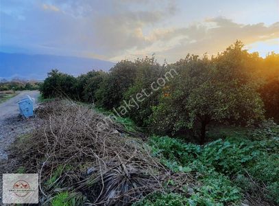 Arsa-Ticari İmarlı