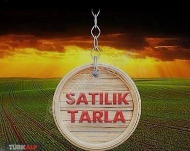 Arsa-Tarla
