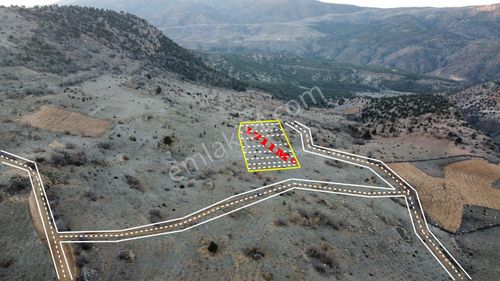 Arsa-Bağ & Bahçe